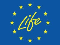 life_1
